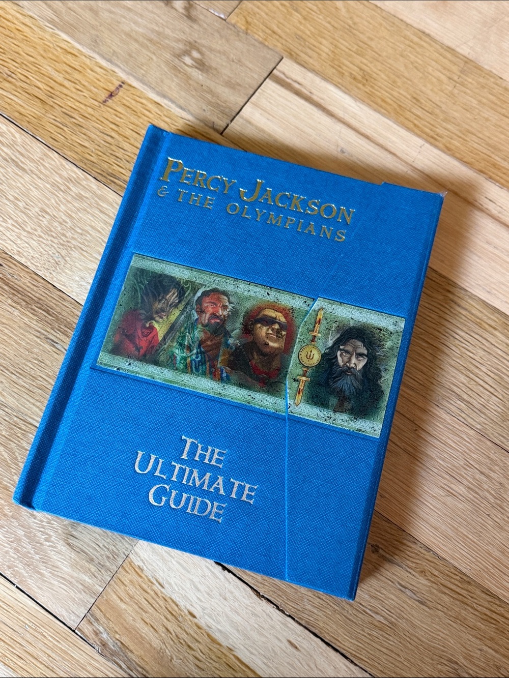 EUC Percy Jackson & The Olympians The Ultimate Guide - incl Character Cards